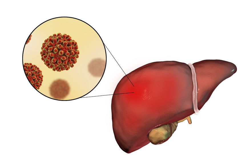 Hoe wordt hepatitis B overgedragen?