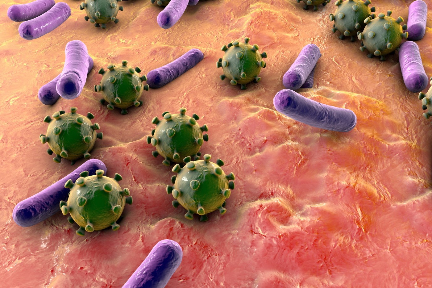 Onderzoekers kijken nader naar secundaire bacteriële longontsteking, wat mogelijk leidt tot nieuwe behandelingen